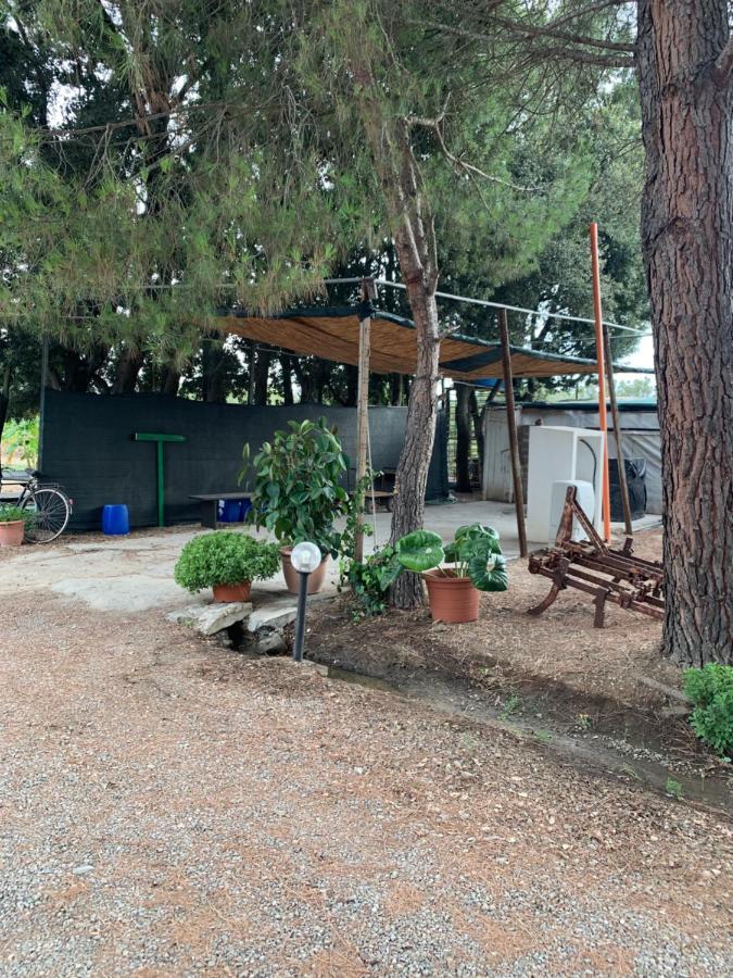 Agrib&B Il Pomo D'Oro Assemini Eksteriør bilde